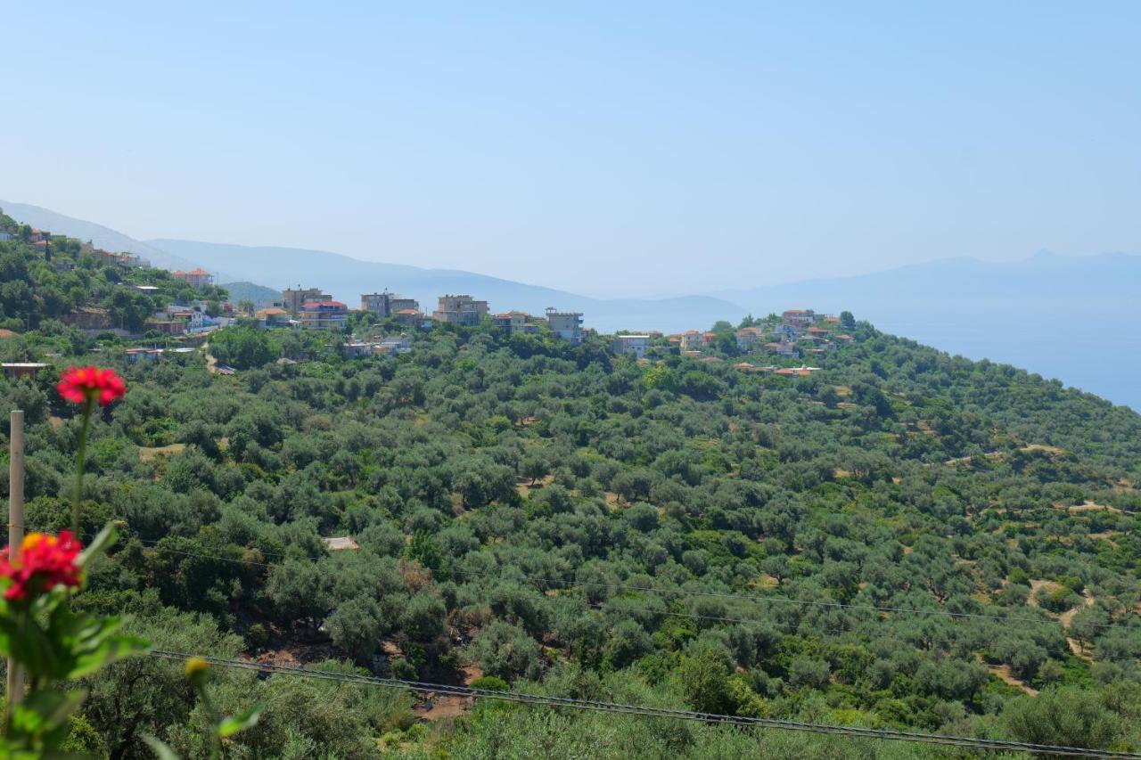 Bed and Breakfast Vila Panorama Piqeras Экстерьер фото