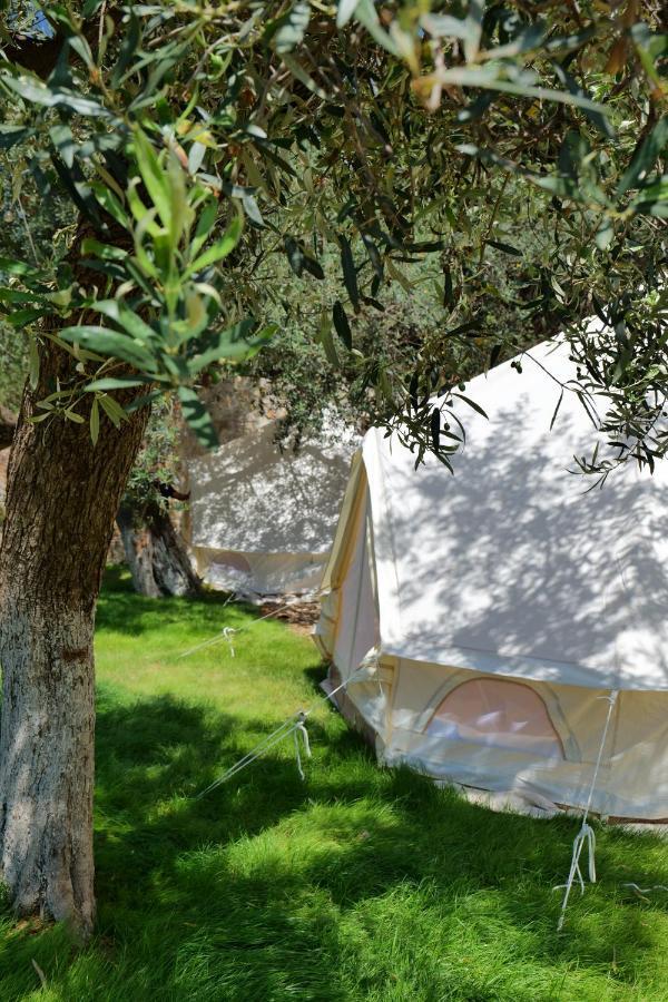 Bed and Breakfast Vila Panorama Piqeras Экстерьер фото