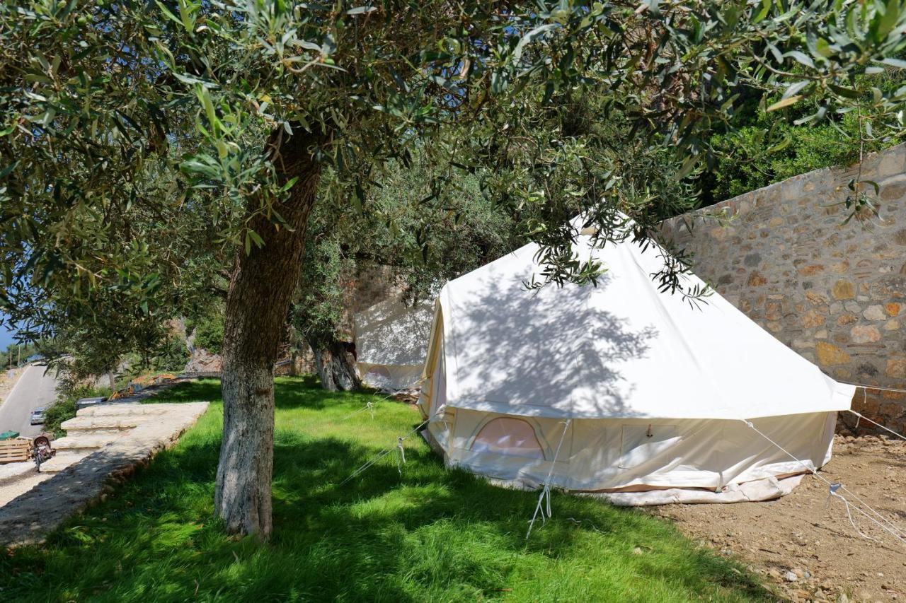 Bed and Breakfast Vila Panorama Piqeras Экстерьер фото