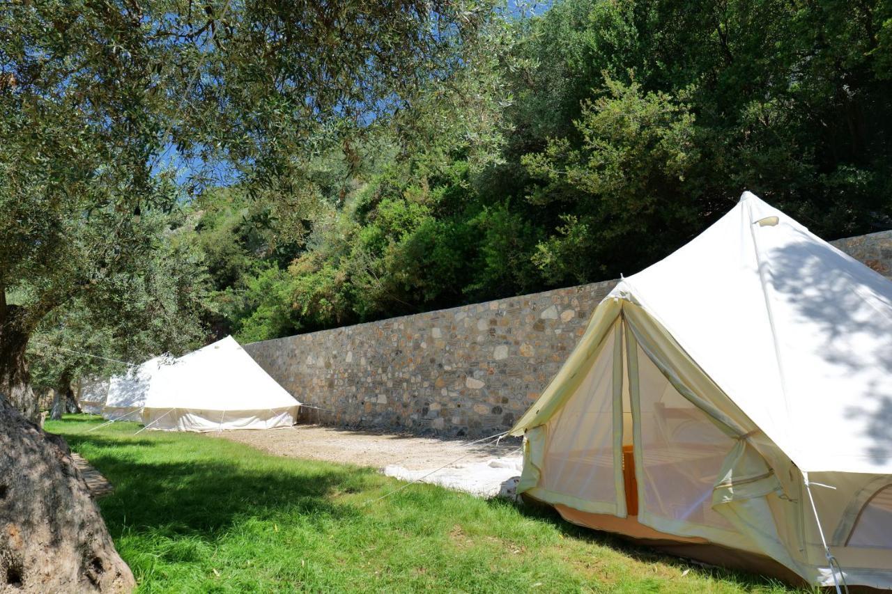 Bed and Breakfast Vila Panorama Piqeras Экстерьер фото